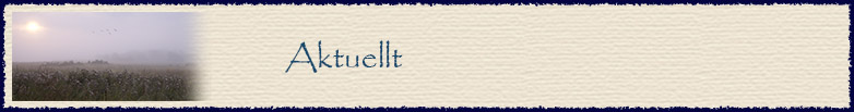 Aktuellt